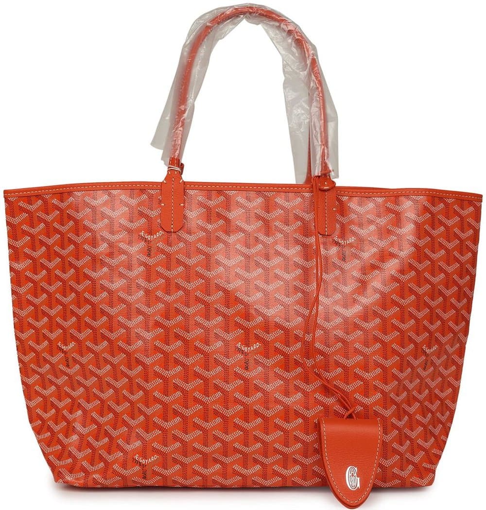 Goyard Saint Louis PM in Orange